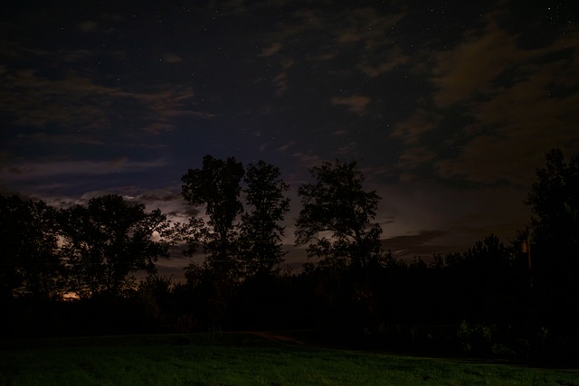 Free Stars Night photo and picture