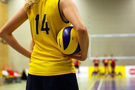 Volleyballfans Volleyball Kostenloses Foto Auf Pixabay volleyballfans-volleyball-kostenloses-foto-auf-pixabay