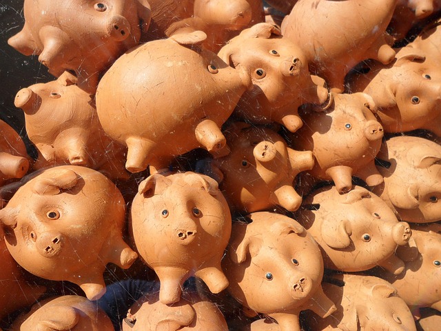Free Pig Piggy Bank photo and picture