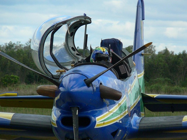 Free Plane Squadron photo and picture