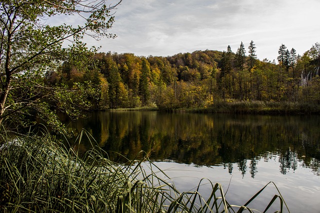 Lagos Plitvice, Croácia, Agua, Panorama