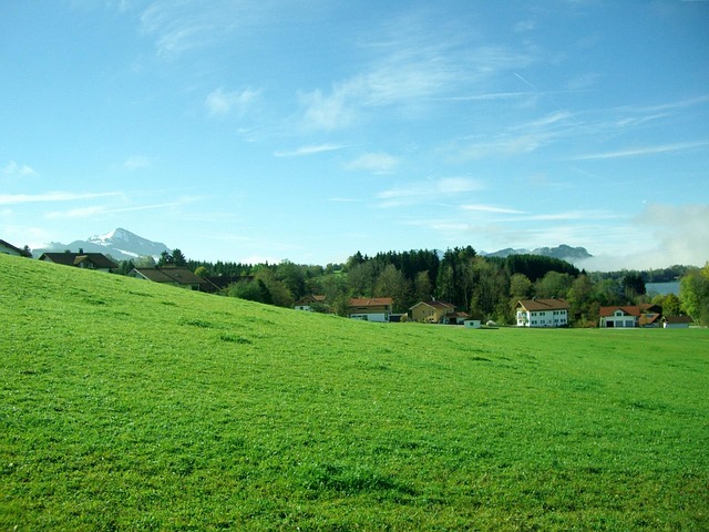 Petersthal, Allgäu, Groente, Blauw