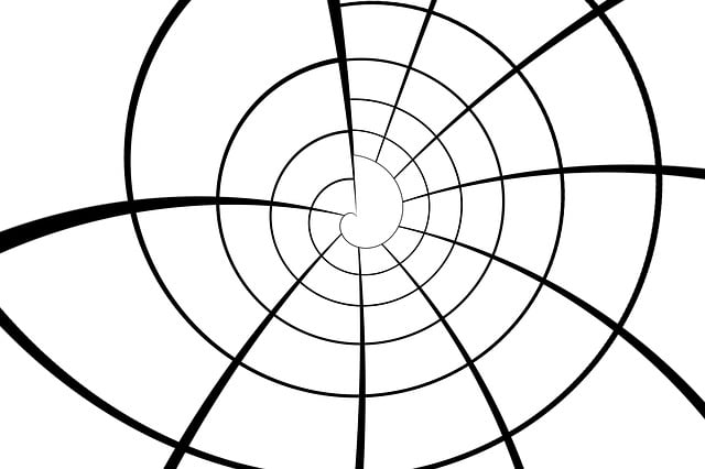 Free globe coordinates spherical illustration