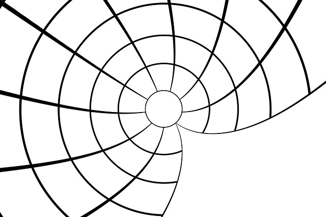 Free globe coordinates spherical illustration