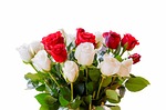 corsage, rose, red