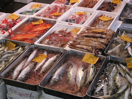 Free Japan Tokyo photo and picture