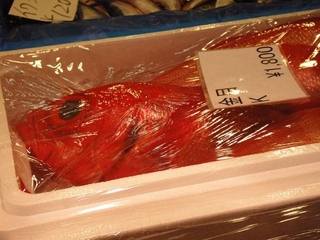 Free Fish Market photo and picture