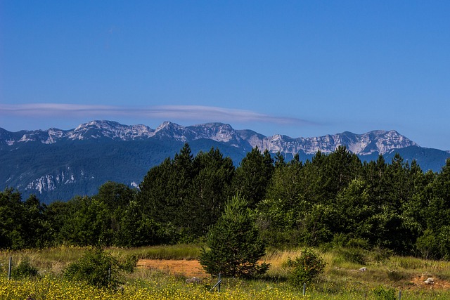 Montanha, Floresta, Panorama, Natureza