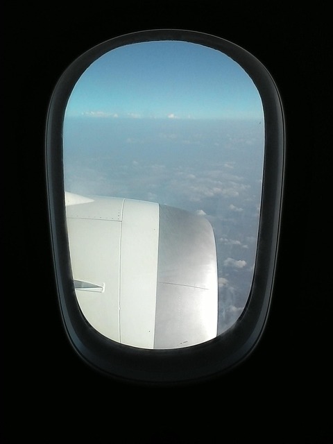 Fly, Vindue, Flyvningen, Flyvende