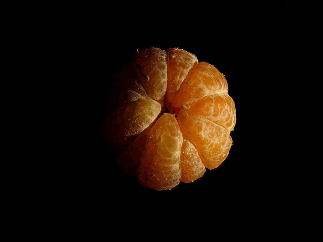 Free Orange Fruit photo and picture