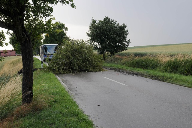 Free Storm Climatology photo and picture