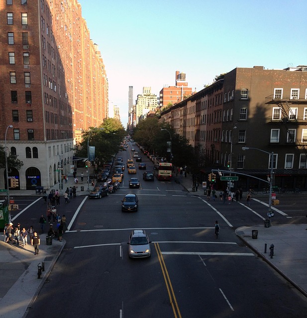 Free City New York photo and picture