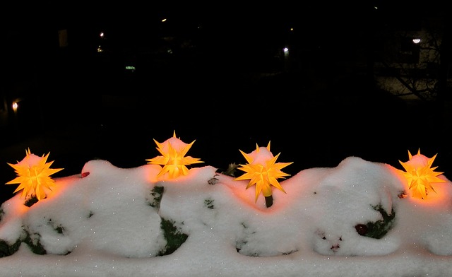 Estrellas De Navidad Invierno - Foto gratis en Pixabay - Pixabay