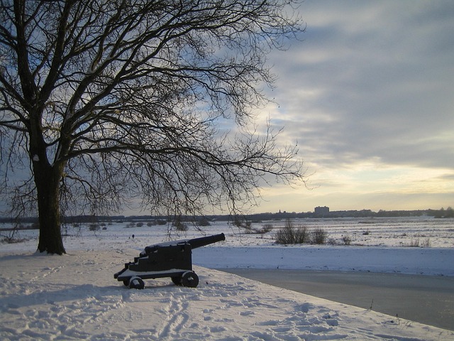 Free Cannon Winter photo and picture