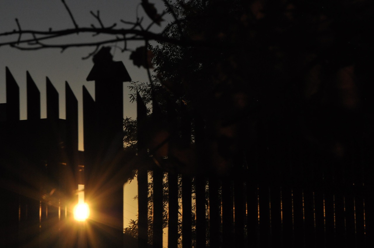 Sunset Evening The Sun - Free photo on Pixabay - Pixabay