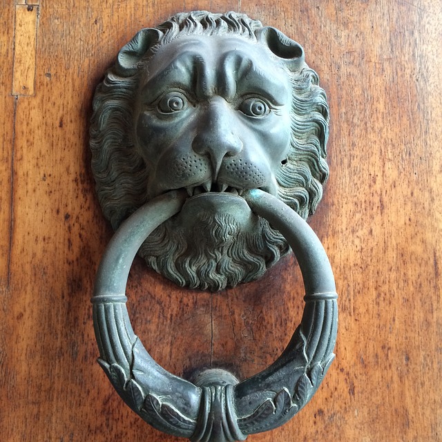 Free Door Knocker Lion photo and picture
