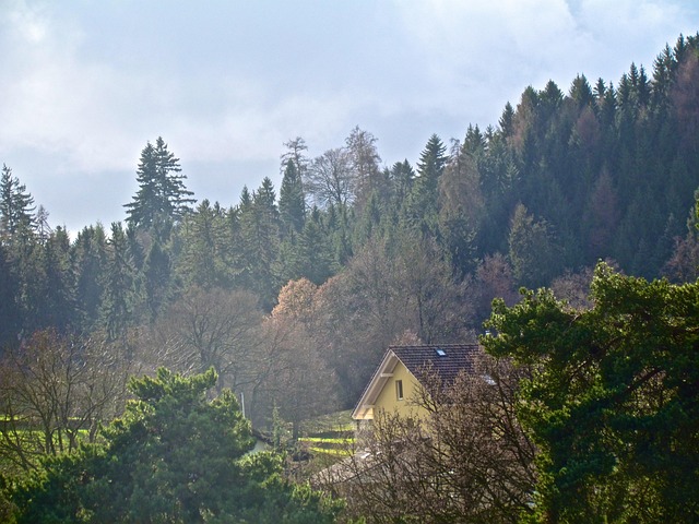 Floresta, Místico, Cair