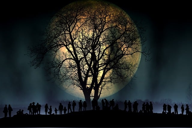 Free tree nature bald illustration