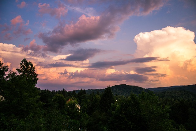 Nuvens, Impressionante, Floresta, Céu