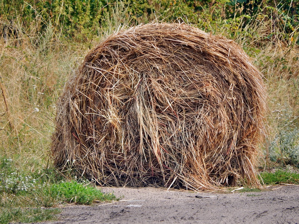 Free photo Hay, Rick, Haystack, Haymaking Free Image on Pixabay 528654
