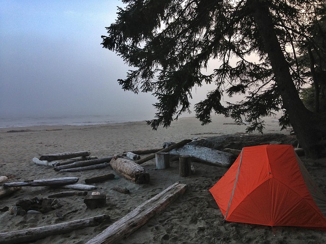 Free Camping Tent photo and picture