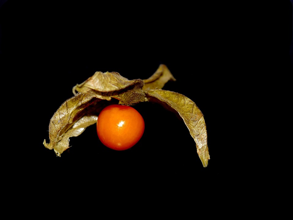 physalis vitaminer physalis vitaminer