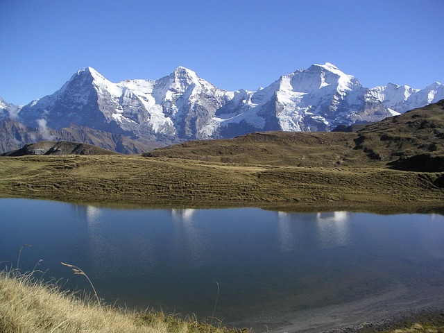 Free Eiger Monk photo and picture