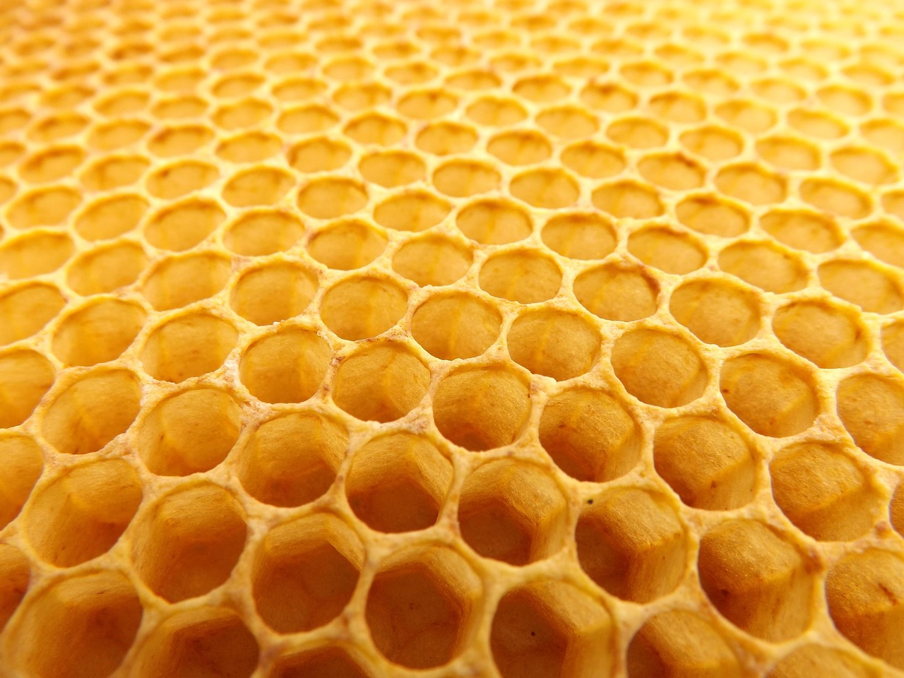 1 000 Free Honeycomb Honey Images Pixabay