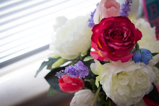 Blumen, Rose, Pfingstrose, Strauß