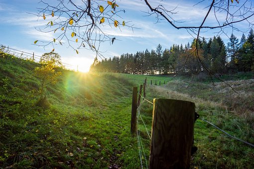 Efterår, Sol, Hegn, Skov, Felt, Landskab