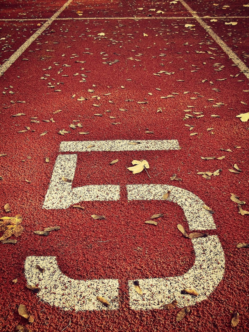 Free Sports Ground Red photo and picture