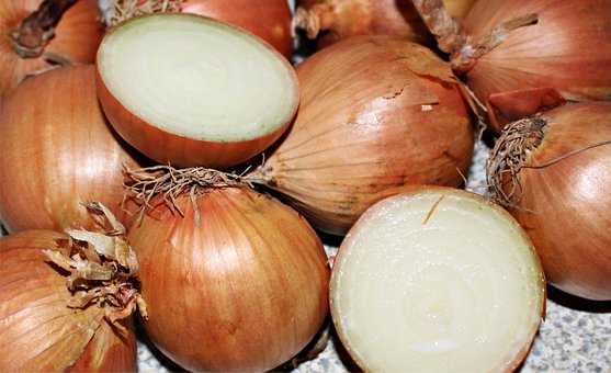 Free Onion Vegetable Onion photo and picture