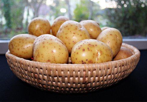 Free Potatoes Tubers photo and picture