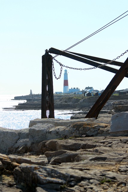 Free Portland Bill Crane photo and picture