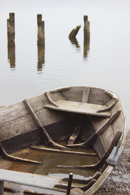 Free Rowing Boat Boat photo and picture