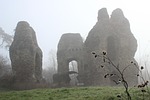 odiham, castle, misty