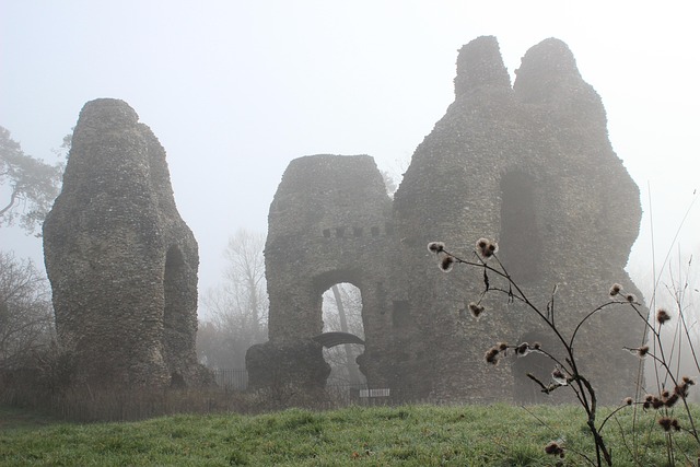 Free Odiham Castle photo and picture