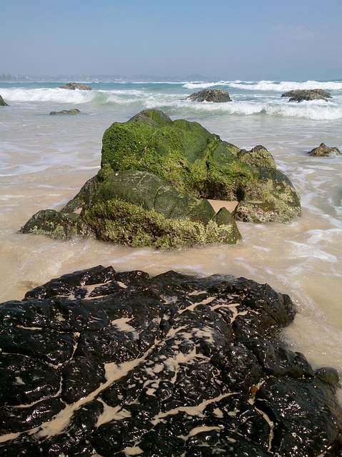 Free Kirra Beach Rocks photo and picture