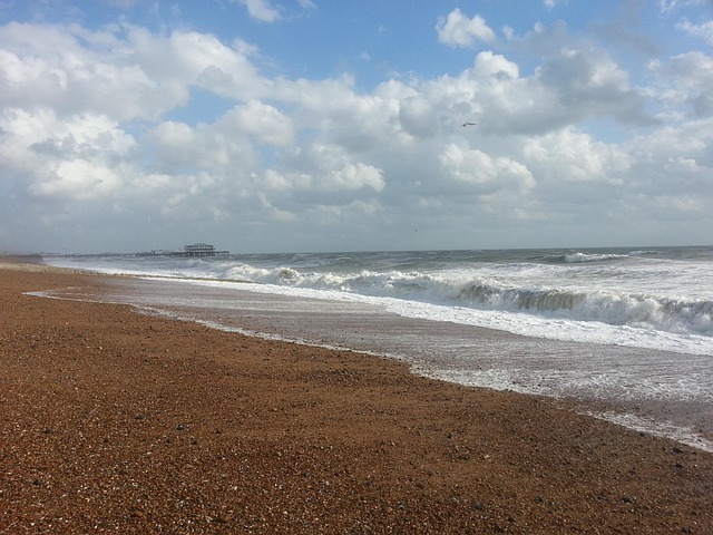 Free Wave Sea photo and picture