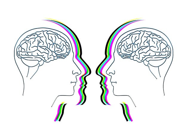 Free face silhouette brain illustration