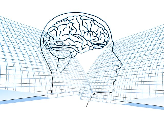 Free face silhouette brain illustration