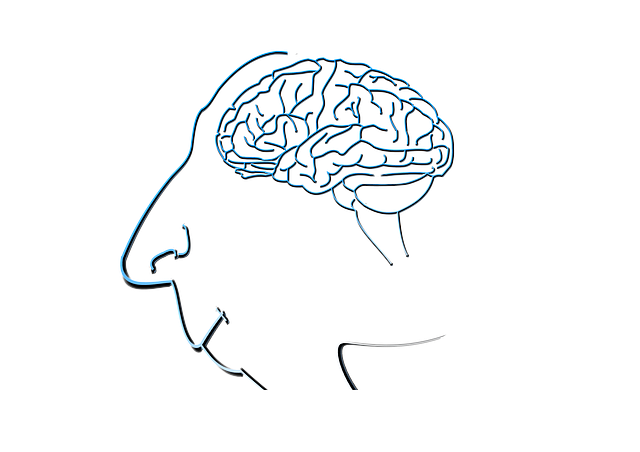 Free brain face silhouette illustration