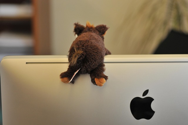 Free Screen Apple photo and picture