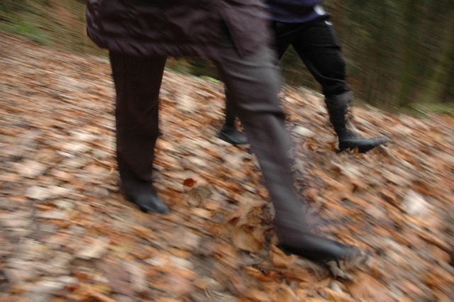 Free Move Running photo and picture