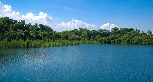 Free Landscape Blue Sky And White Clouds photo and picture