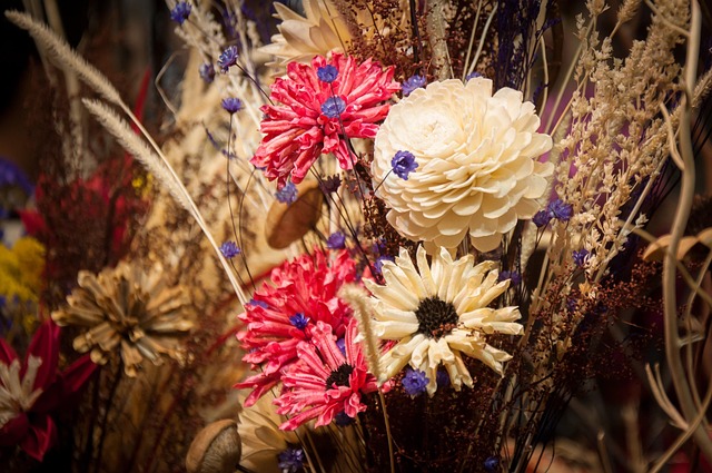 Free Flower Plant photo and picture