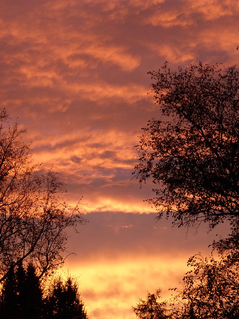 Free Sunset Nature photo and picture