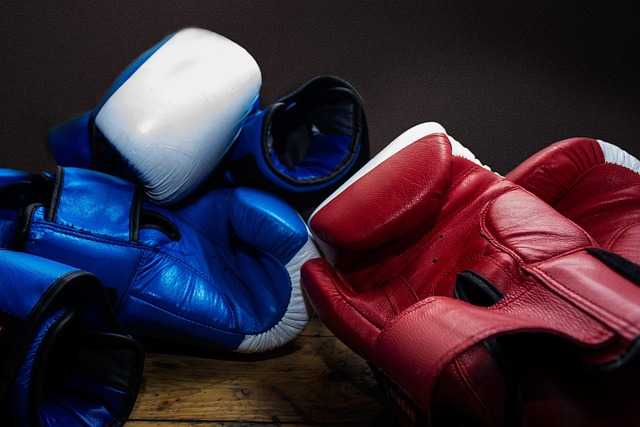 Free Gloves Boxing photo and picture