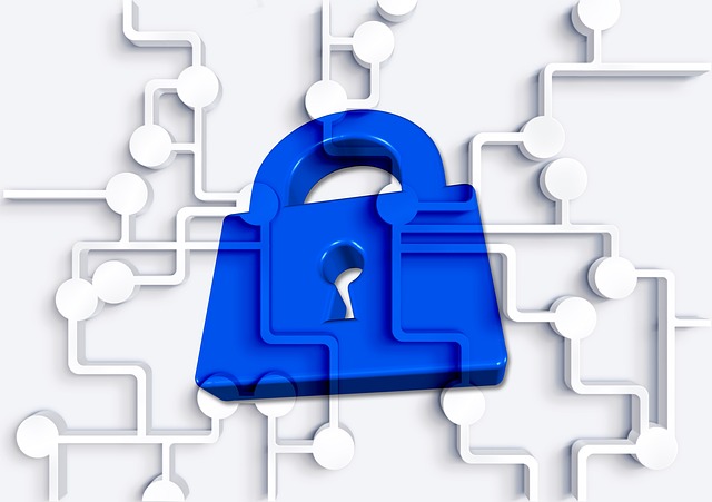 Free secure castle privacy policy illustration