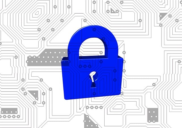 Free secure castle privacy policy illustration
